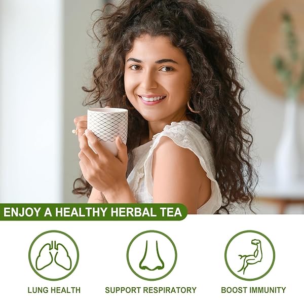 DRIED TANGERINE PEEL ROHAN FRUIT CLEAR LUNG TEA FOR LUNG CLEANSING AND RESPIRATORY SUPPORT, NO FLAVORING, NO ADDITIVES, AND CAFFEINE-FREE. (1 PACK/25 BAGS)