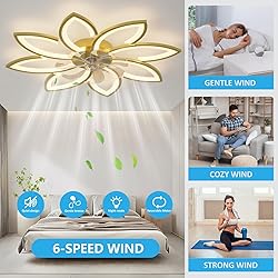 SPEVCH 35" Ceiling Fans with Lights, Modern Ceiling