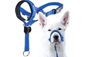 GoodBoy Dog Head Halter with Safety Strap - Stops Heavy Pulling On The Leash - Padded Headcollar for Small Medium and Large Dog Sizes - Head Collar Training Guide Included (Size 3, Blue Nylon)