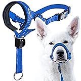 GoodBoy Dog Head Halter with Safety Strap - Stops