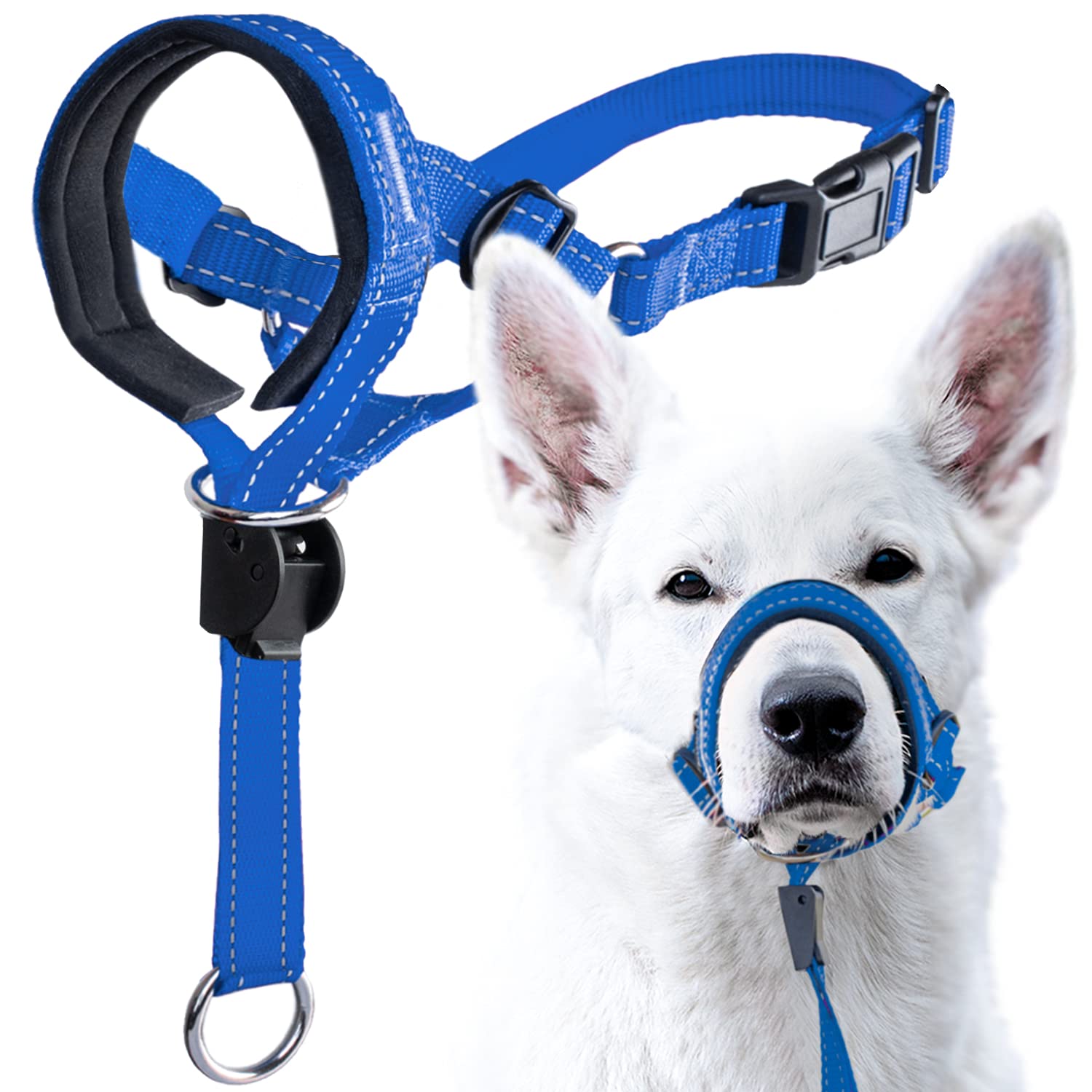 GoodBoy Dog Head Halter with Safety Strap - Stops Heavy Pulling On The Leash - Padded Headcollar for Small Medium and Large Dog Sizes - Head Collar Training Guide Included (Size 4, Blue Nylon)