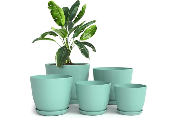 Utopia Home - Plant Pots Indoor with Drainage - 7/6.6/6/5.3/4.8 Inches Flower Pots for Indoor Planter - 5 Pack Plastic Planters - Ideal for Stocking Stuffers or Home Christmas Decorations - Aqua