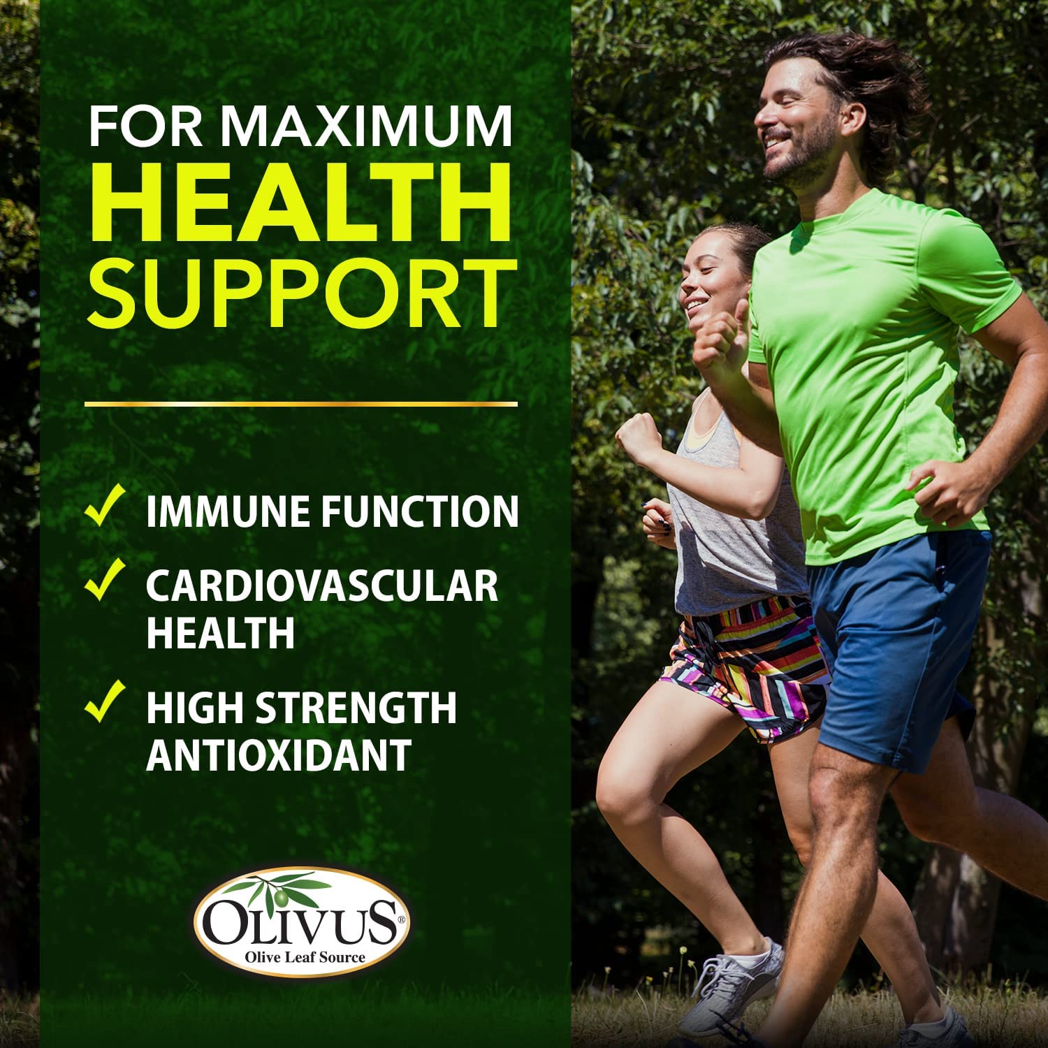 OliveLeafMAX Olive Leaf Extract (40% Oleuroepin) + Organic Olive Leaf Powder + No Fillers + 300 Vegetarian Capsules + Sourced from Spain and Manufactured in USA at GMP Facility