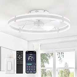 ZMISHIBO 24 Inch Ceiling Fans with Lights and