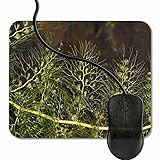 Gaming Mouse Pad Closeup of Bladderwort Leaf