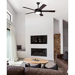 Westinghouse 7307200 Comet, Transitional Dimmable