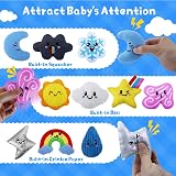 teytoy Sensory Bean Bag Toys 10 Texture Fidget Weather Theme Set view 3