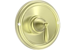 KANDENT Replacement for Moen T2151BG Brantford Posi-Temp Valve Trim Kit, Brushed Gold Shower Trim Kit Shower Lever Handle (#2510 Valve Required)