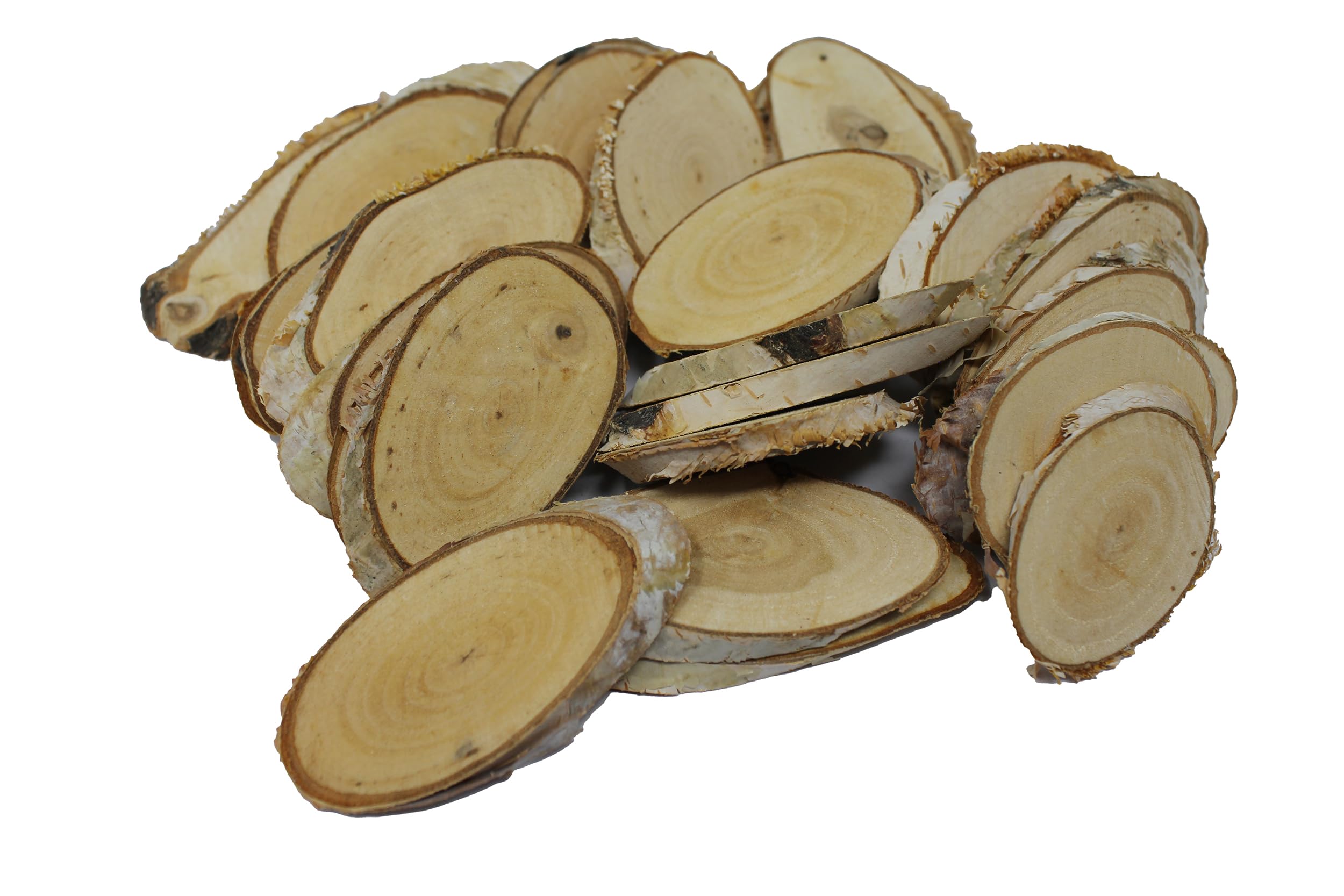 Bright Ideas Natural Branch Offcuts Oval 250g in Assorted Sizes Ideal for Kids' Arts and Crafts Projects, Sensory Stimulation, Alternative Crafting Materials for Schools. BI8404.