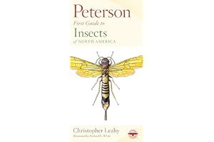 Peterson First Guide To Insects Of North America