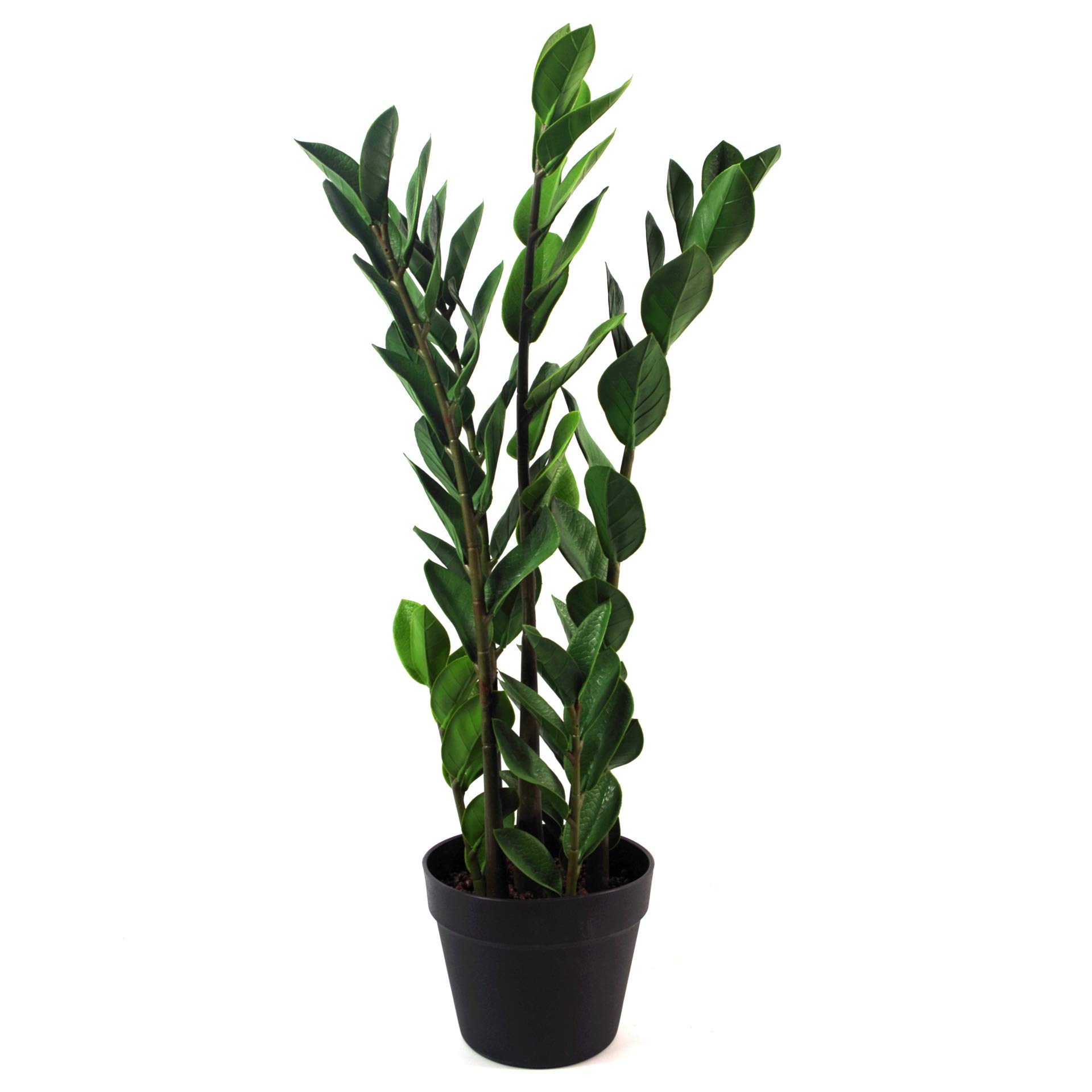 Leaf Design UK Realistic Large Artificial Foliage Plant with Pot, Zanzibar Gem, 75cm