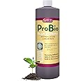 ProBio Balance Original - Make 20X More Farm & Garden Soil Conditioner, Super Concentrate of Effective Beneficial Microorganisms, OMRI-Listed for Organic Farms Gardens – by SCD Probiotics (1 Liter)