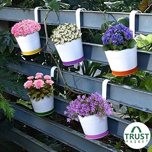 TrustBasket Crown of Colors Railing Planters - Set of 5 (Green, Orange, Pink, Purple, Yellow)