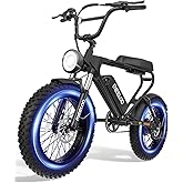 tokera 13/20/30/40AH 48V Electric Bike for Adults Peak Value 1000W/2400W Electric Motorcycle, 40-56KM/H Mountain Snow, Sand D