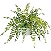 Hollyone Artificial Fern Potted Plant for Outdoors Indoors - Lifelike Faux Boston Fern in White Pot for Garden, Patio, Home, Farmhouse, Windowsill, Office, Living Room, Desk Decoration