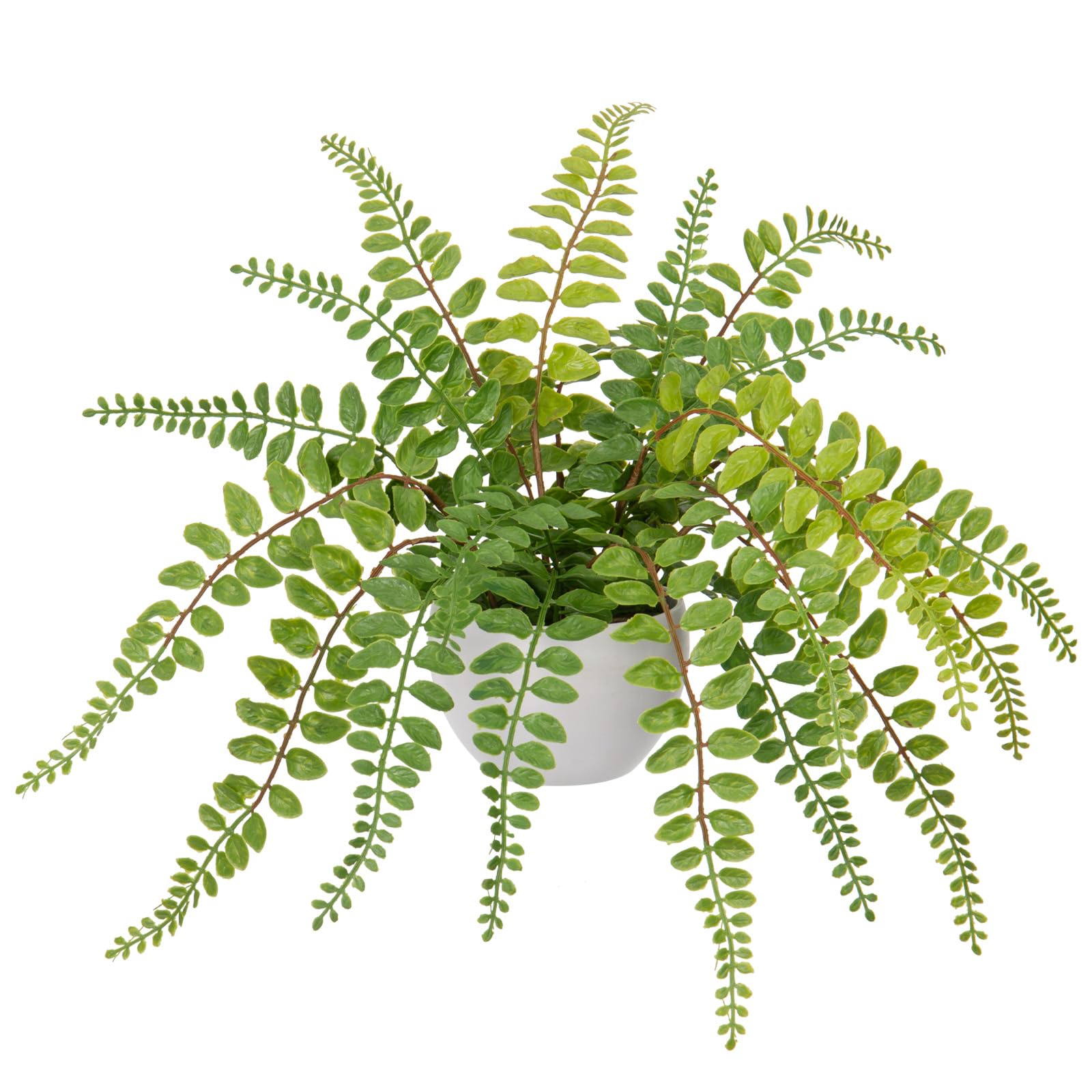 Arborus 7.8" Artificial Plant in Pot Artificial Fern Potted Green Plant Faux Button Fern in White Pot for Indoors Decor Garden Patio Home Windowsill Office Living Room Desk Table Decoration