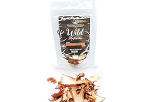 Dried Wild LOBSTER Mushrooms 20g | West Coast Wild Foods | Locally wildharvested