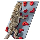 Miniature Reptile Rock Climbing Wall – Enclosure