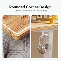 BANTI Electric Standing Desk with