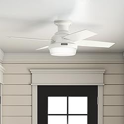 Hunter 44 inch Indoor Ceiling Fan with LED Light