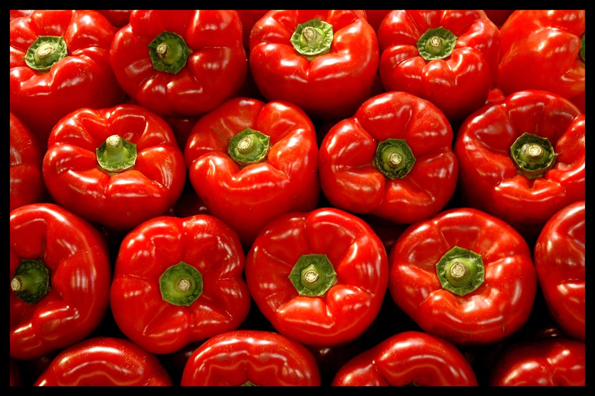 Digital Republic.Com 40218 Door Mat Polyamide PVC Plastic Phthalate-Free