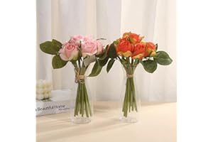 Nordic Transparent Plastic Vase Flower Arrangement Container Creative Hydroponic