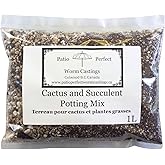 Patio Perfect WC - Cactus and Succulent Potting Mix - 1L, 2L, 4L | with Vegan Worm Castings and Two Types of Rock Dust