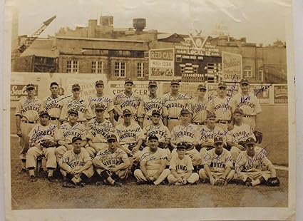 toledo mud hens team store