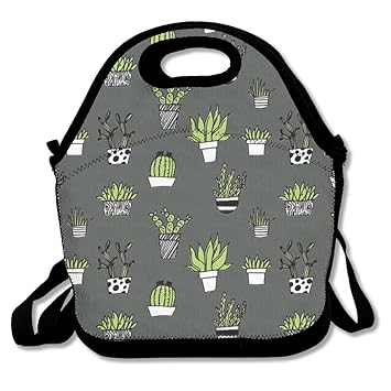 succulent lunch bag