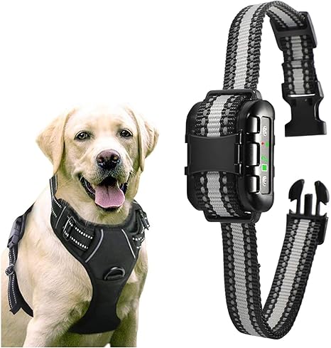 Rabbitgoo dog collar Outlet