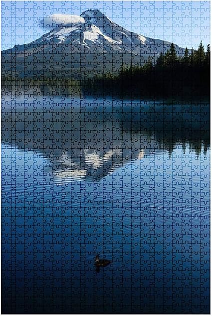 fisher price little people pink bus