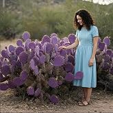 Durazilla Cactus (O. gosseliniana) - Live Plant Cutting - Seasonal Purple | Opuntia gosseliniana, Roots Easily