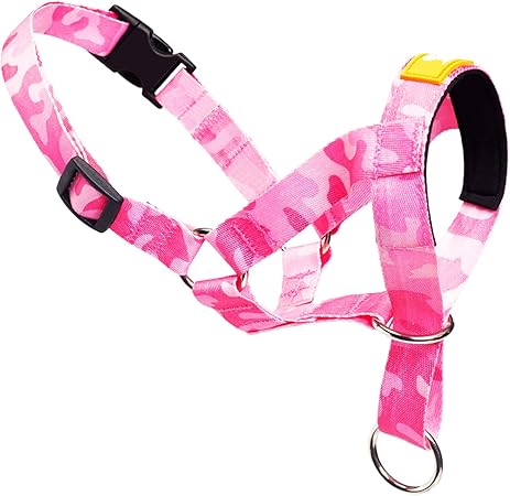dog head halter amazon
