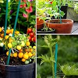 KINGLAKE 60cm Bamboo Plant Support Sticks 30Pcs with Twist Ties view 8