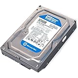 Western Digital (WD) Caviar Blue 320 GB (320gb) SATA II 7200 RPM 8 MB Cache Bulk/OEM Desktop Hard Drive for PC, Mac, CCTV DVR, NAS, RAID- 1 Year Warranty