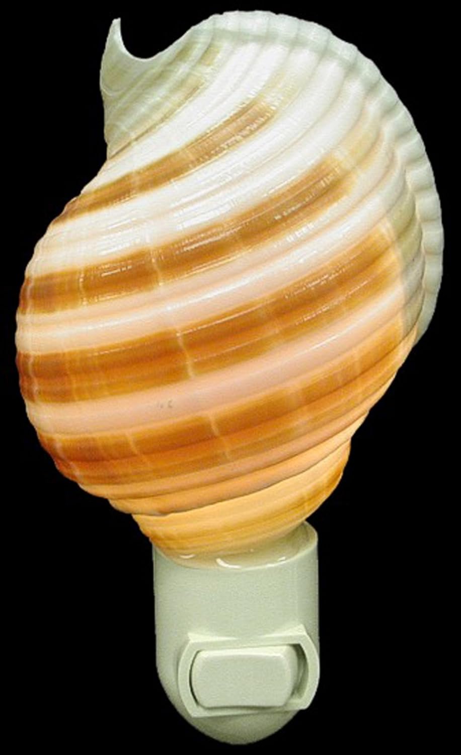 Real Seashell Night Light Tonna Selacosa Shell Decorative Beach Decor Nautical