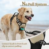 rabbitgoo Dog Harness Medium No Pull 2 Leash Clips Reflective Adjustable view 6