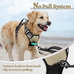 rabbitgoo Dog Harness No Pull with 2 Leash