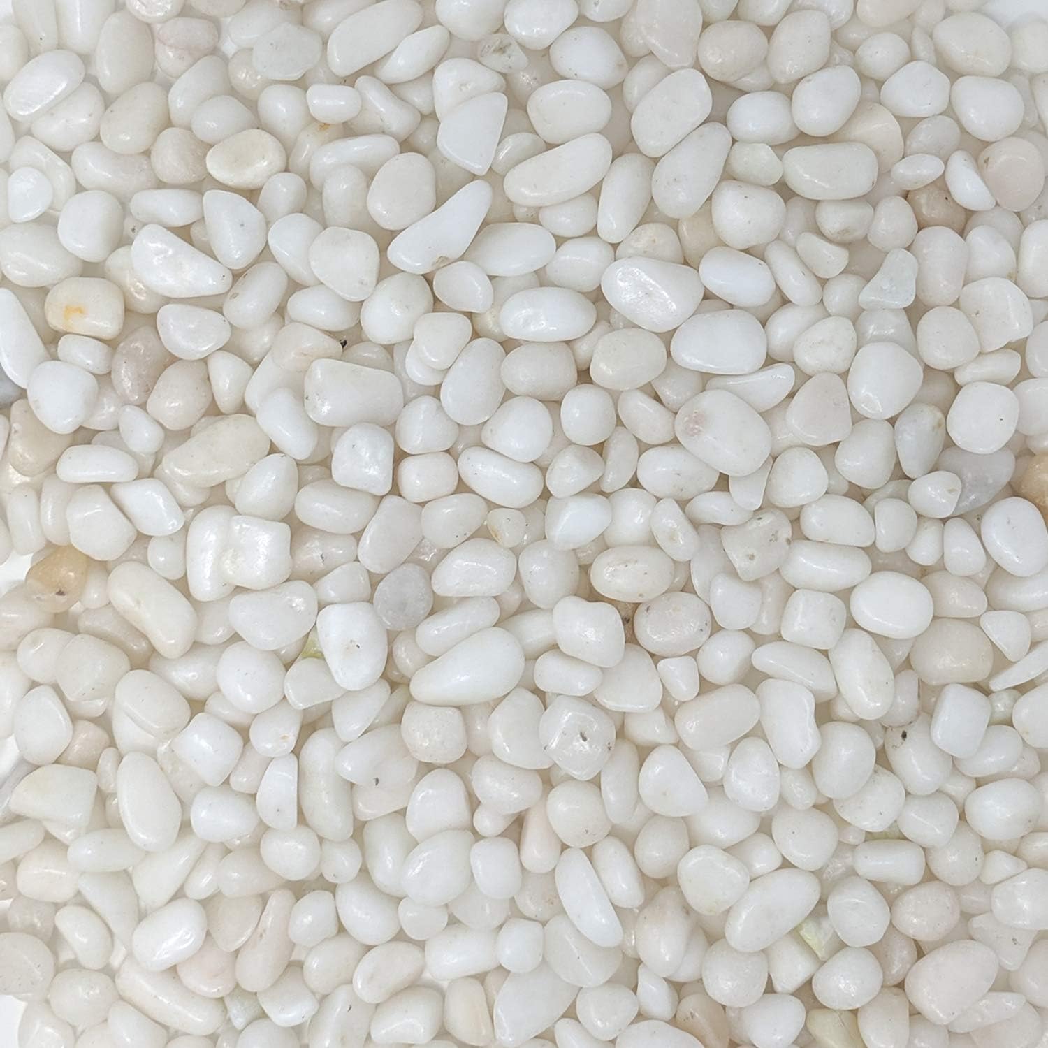 Royal Sapphire Decorative Stone Pebbles Decorative River Rock Stones - Natural White Color Stones Use in Glassware, Like Vases, Aquariums, Terrariums to Enhance The Appearance 8 lbs 1" Gravel siz : Garden & Outdoor