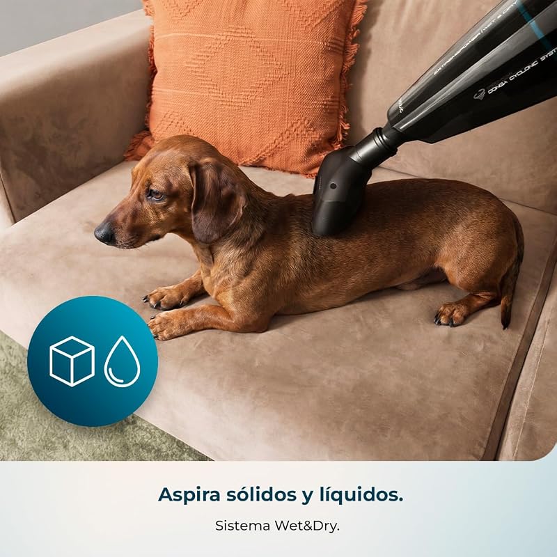 Aspiradora de Mano sin Cable Conga Immortal Extremesuction 22,2 Animal Hand Neo. 150W, Batería de 22,2 V, 10kPa, Depósito 500 ml, Filtro Alta Eficiencia, Accesorio Pelos de Animales