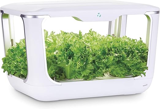 ACQUARAGIA Acuaragia - Kit de Cultivo hidropónico Green Farm ...