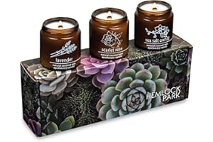 Hemlock Park Apothecary Wood Wick Candle Trio | Gift Set of Three 4 oz Candles Handcrafted with Natural Coconut Wax (Garden | Lavender, Scarlet Rose, Sea Salt Orchid)