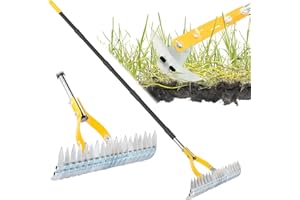 BLUMETREC Thatch Rake for Lawn with 74inch Handle, 15 inch Dethatcher Rake for Grass to Cleaning Dead Grass, Efficient Steel Metal Rake for Dethatching, Heavy Duty Thatching Rakes for Garden, Yard