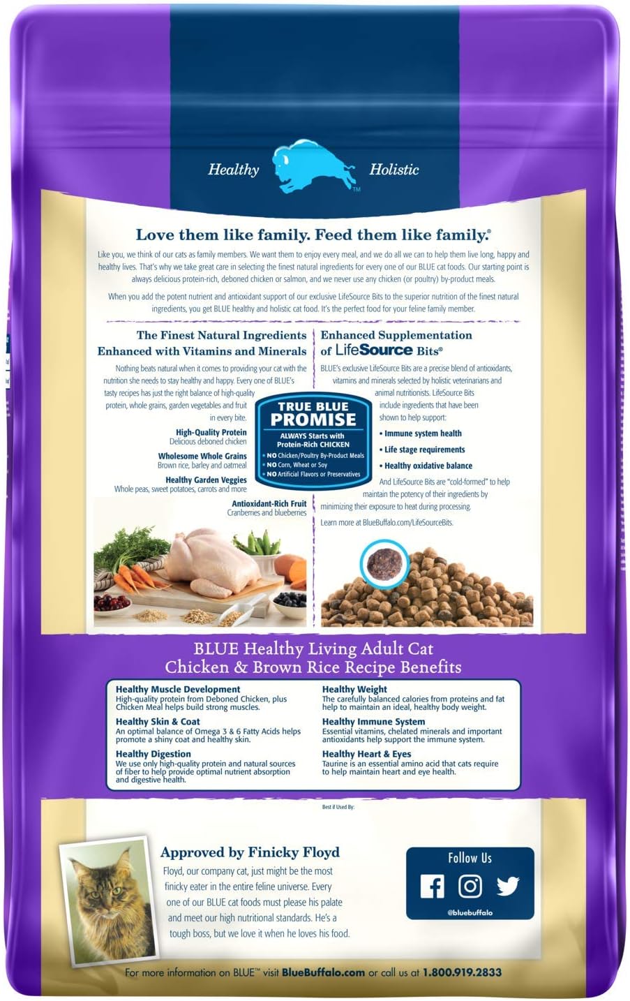 blue buffalo healthy living cat food