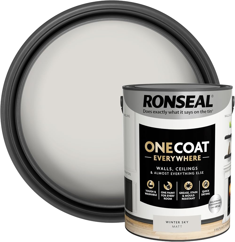 Ronseal One Coat Everywhere Paint Winter Sky Matt 5L Durable Interior
