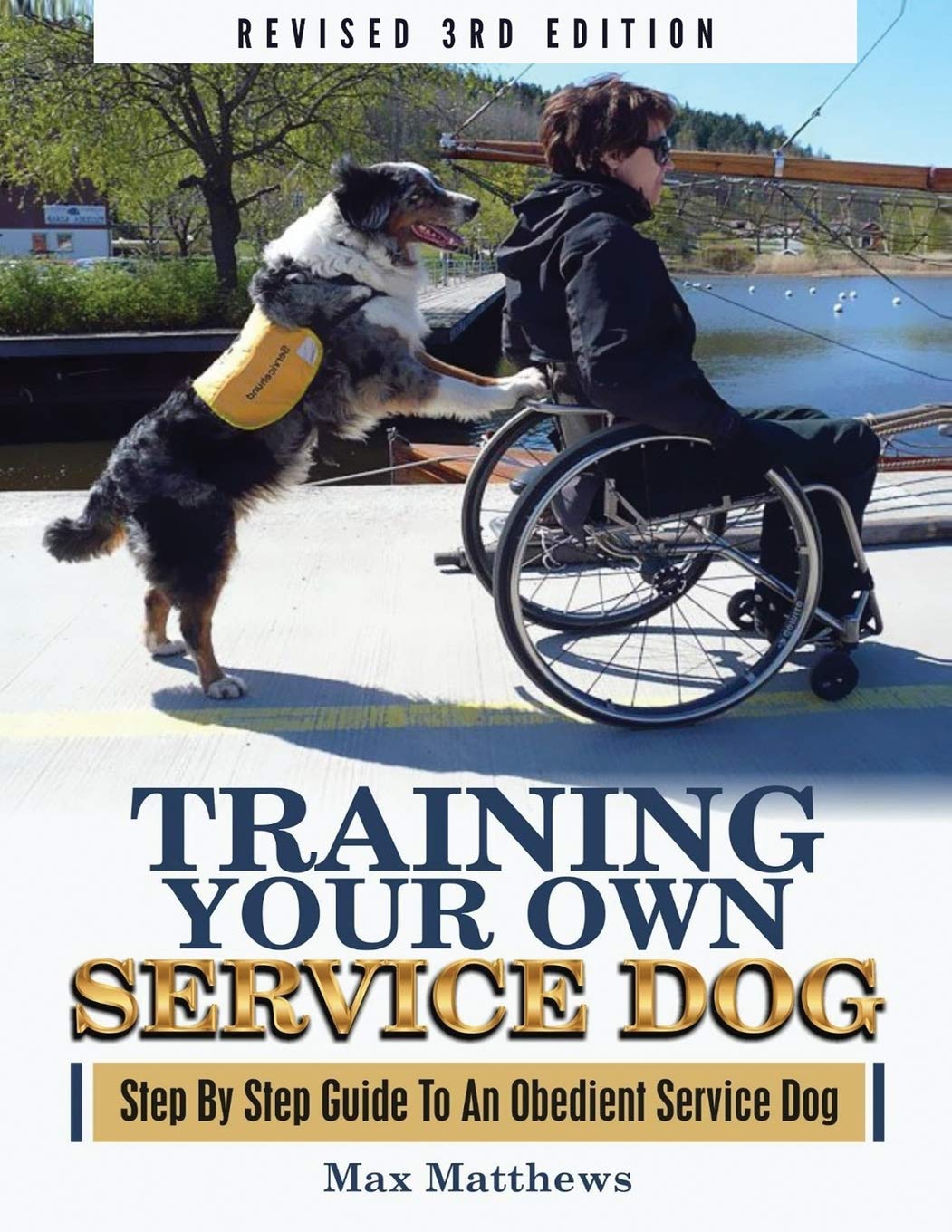 modern service dog training