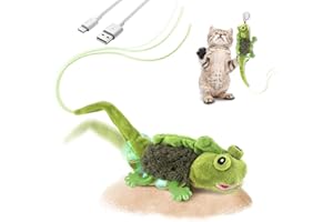 Migipaws Cat Toys, Touch Activated Flapping Chirping Lizard Kitten Toy with Catnip for Indoor Cats Kicker, Rechargeable (Green)