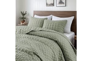 WDCOZY Sage Green Quilt Queen Size Bedding Sets with Pillow Shams, Lightweight Soft Bedspread Coverlet, Quilted Blanket Thin Comforter Bed Cover, All Season Spring Summer, 3 Pieces, 90x90 inches