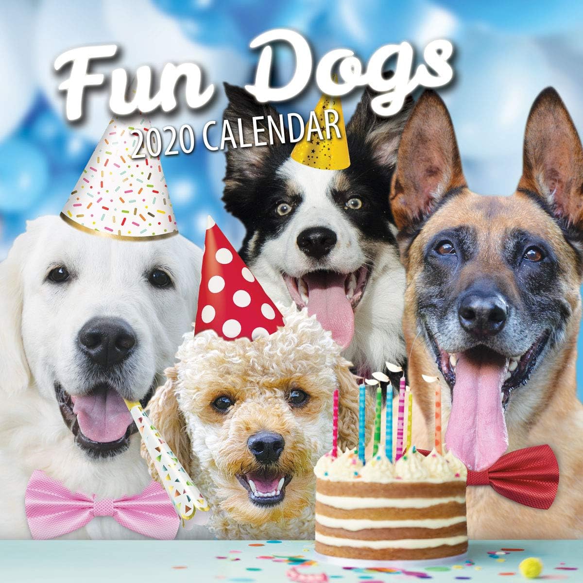 Fun Dogs Wall Calendar