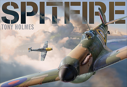 Download Spitfire (English Edition) PDF